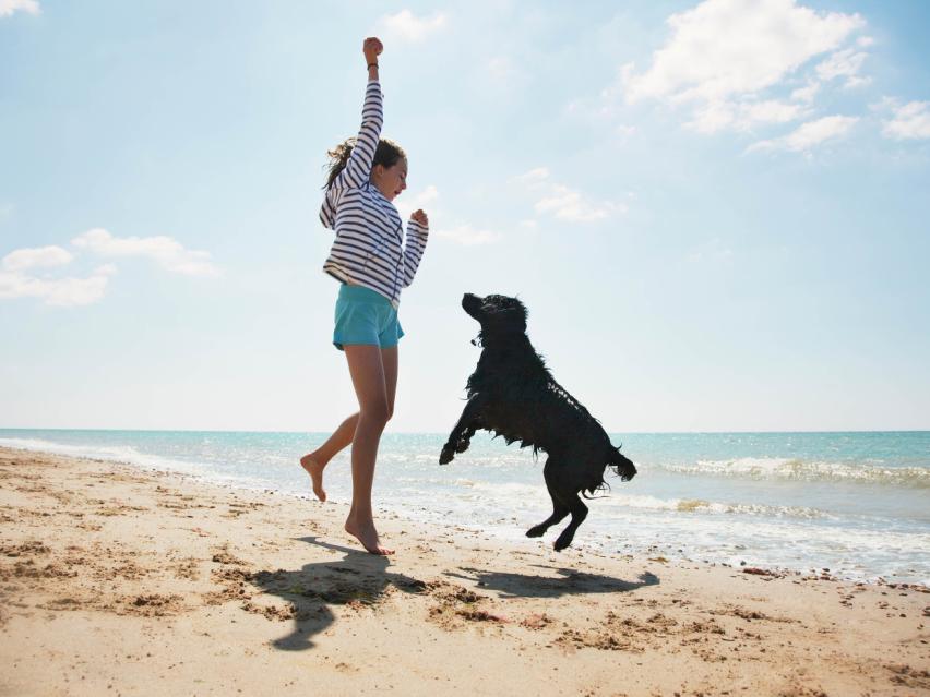 Canine Hypoadrenocorticism
