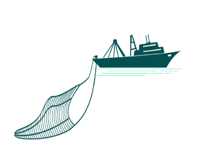 SPECIFIC  fish are caught with the more sustainable midwater trawl