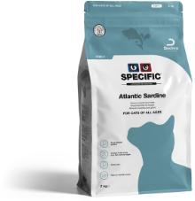 Atlantic Sardine